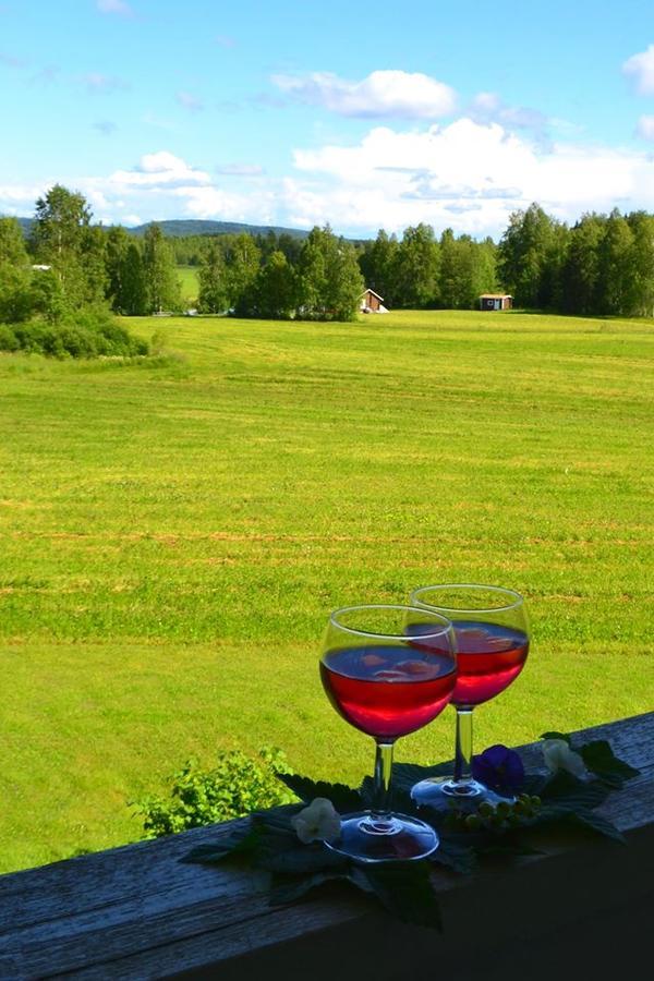 Laitalan Lomat Villa Karhunpaa Екстериор снимка